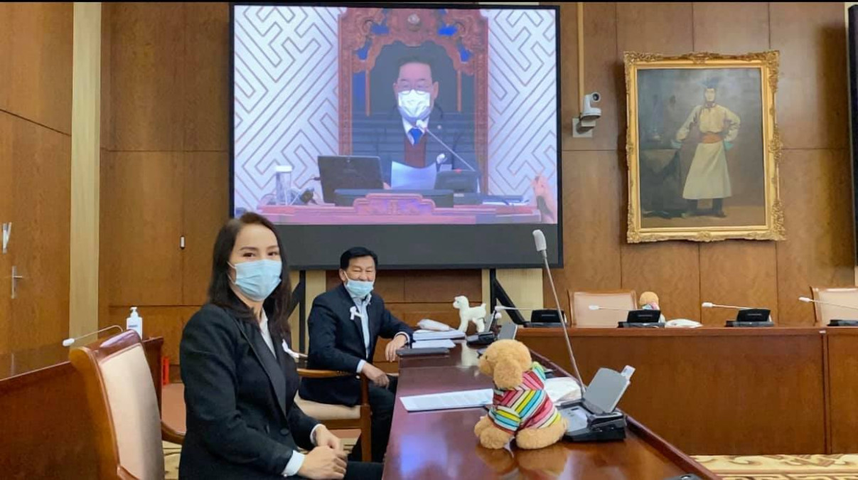 Ц. Мөнхцэцэг, УИХ-ын гишүүн, Хүний эрхийн дэд хорооны гишүүн, “Цагаан тууз” аяныг уриалан дэмжигч (Фото: ПИН)