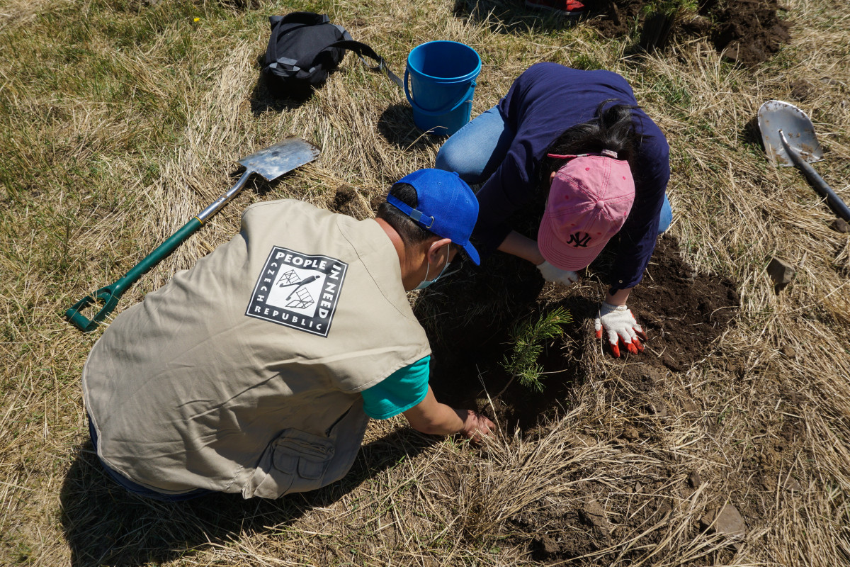 Czech Republic Embassy, Caritas Czech Republic and People in Need plant trees to bring awareness to ecosystem restoration in Mongolia