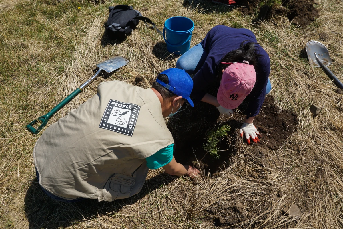 Czech Republic Embassy, Caritas Czech Republic and People in Need plant trees to bring awareness to ecosystem restoration in Mongolia  