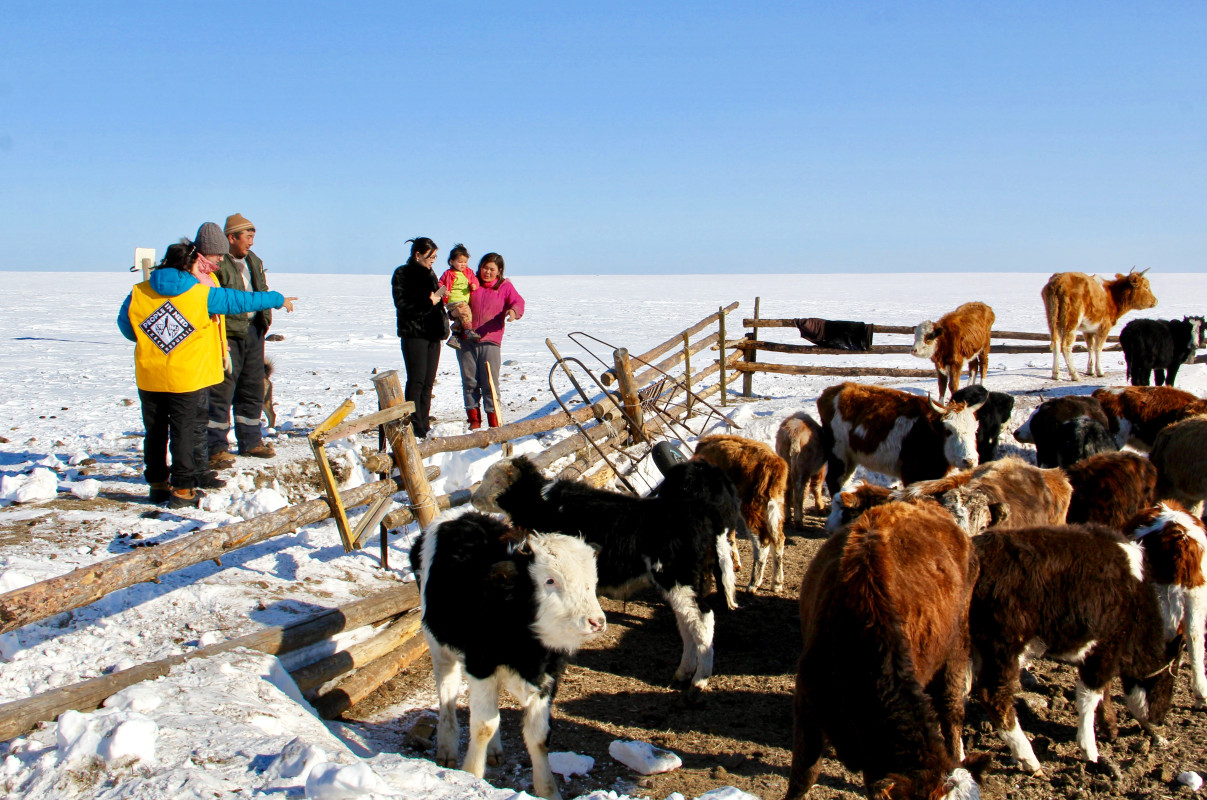 Dzud Response 2018 - Support of Basic Needs and Livelihood Protection of Vulnerable Dzud-Affected Herder Households