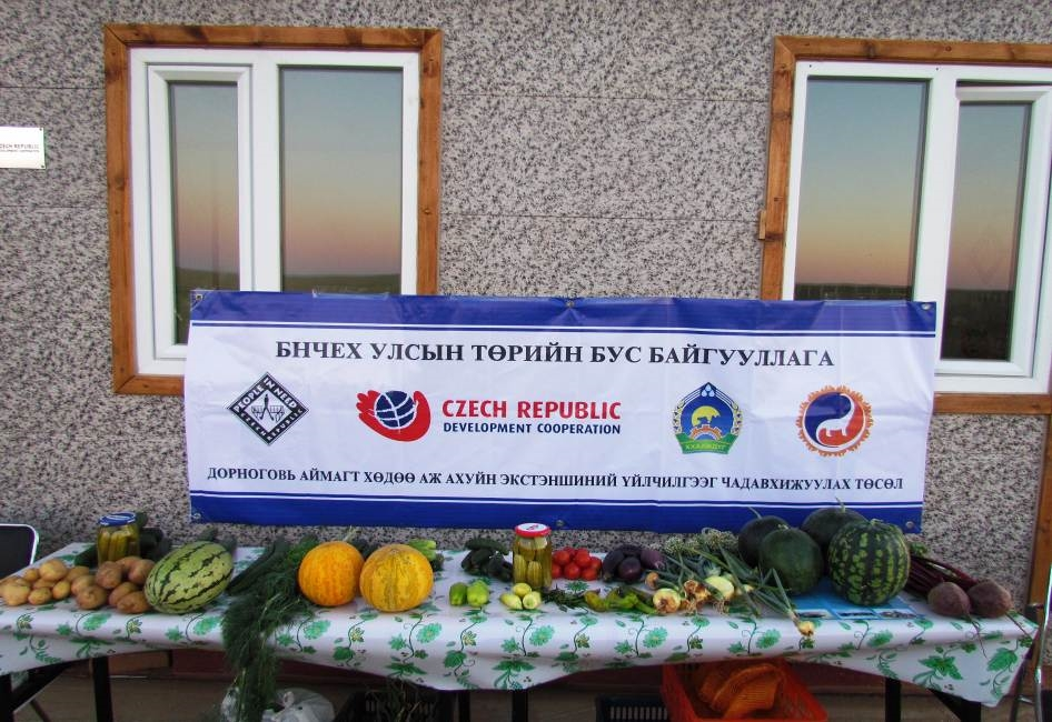 Говийн бүсийн ХАА-н экстеншний үйлчилгээг чадавхижуулах
