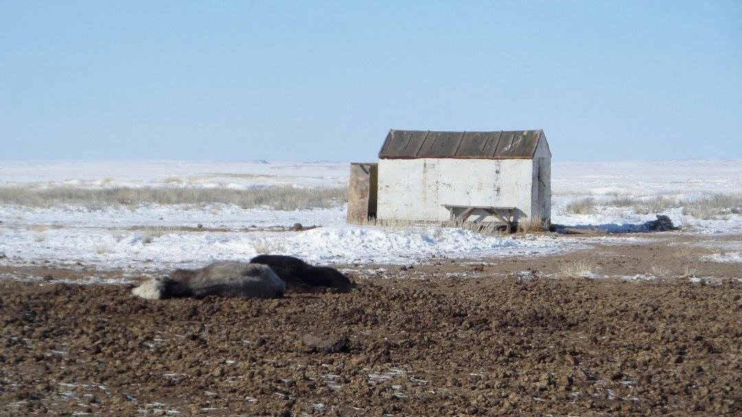 Emergency Response to Remote Vulnerable Drought-Dzud Affected Herder Populations of Eastern Aimags