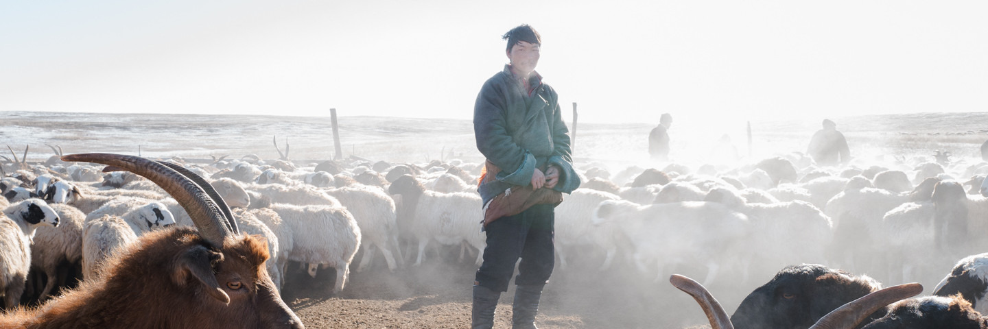 People in Need in Mongolia