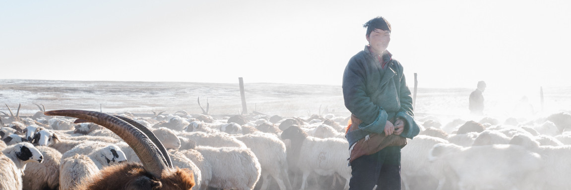 ПИН Монгол Улсад