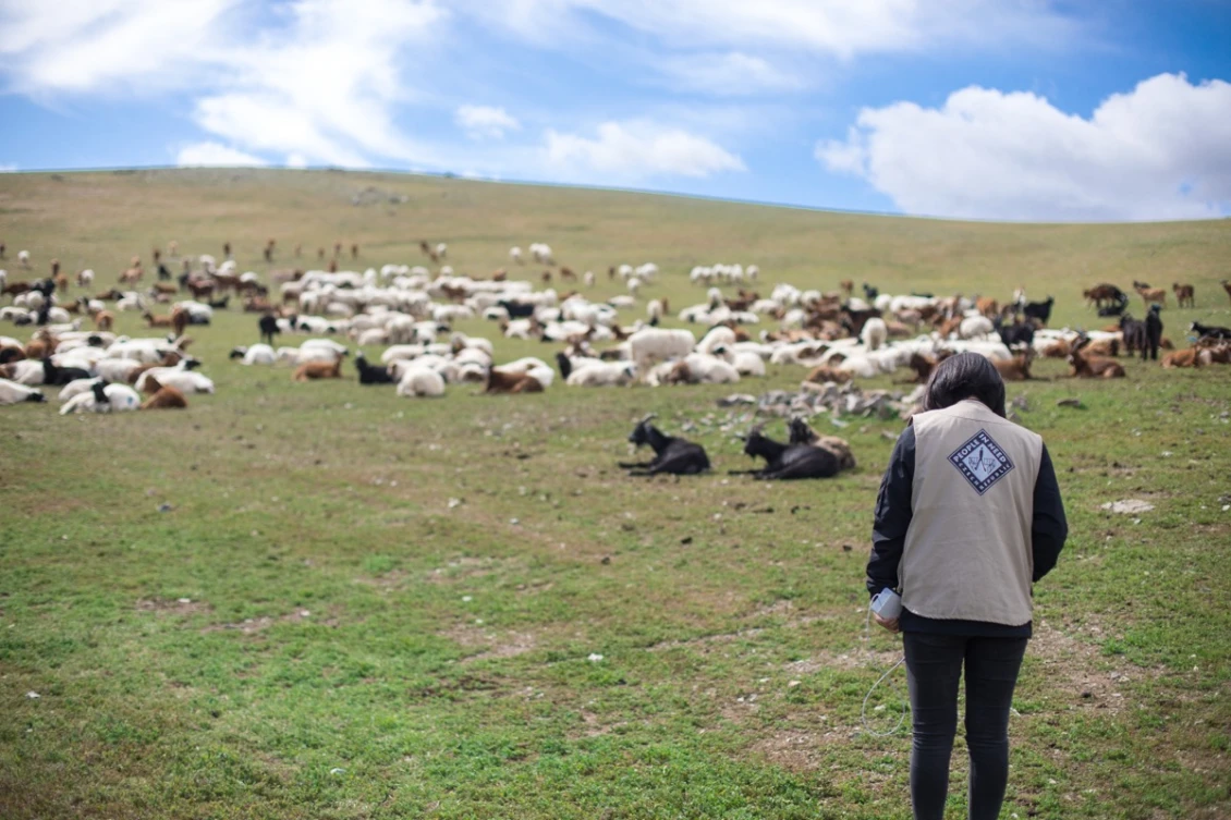Govi-Atlai province, Mongolia 